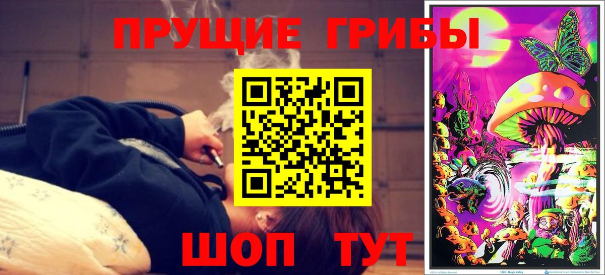 Псилоцибиновые грибы мухоморы Ноябрьск